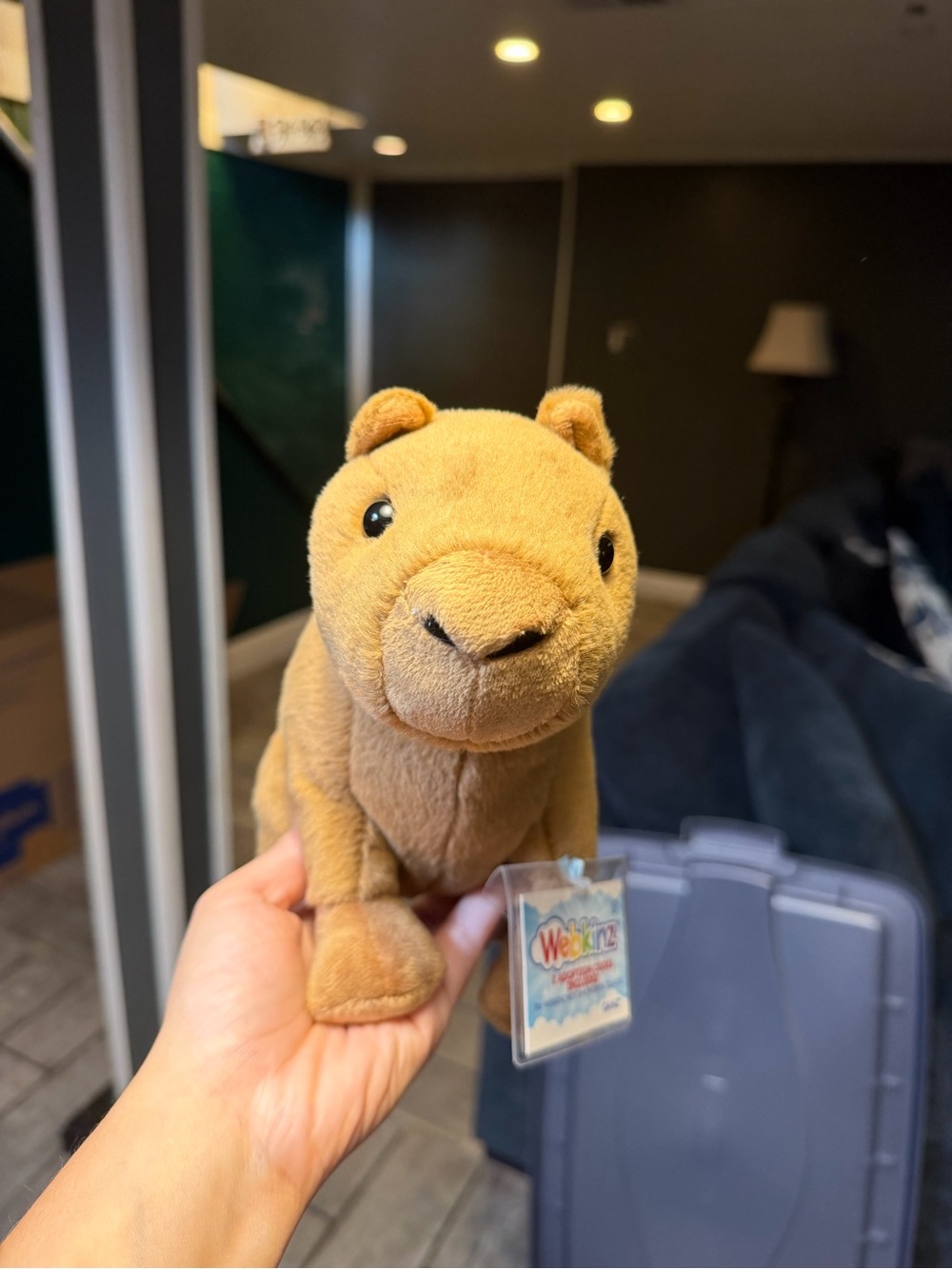 BNWT Capybara Webkinz